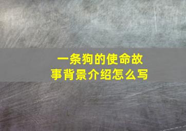 一条狗的使命故事背景介绍怎么写