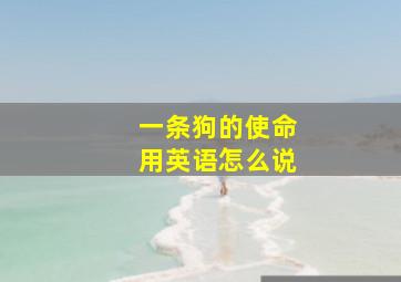 一条狗的使命用英语怎么说