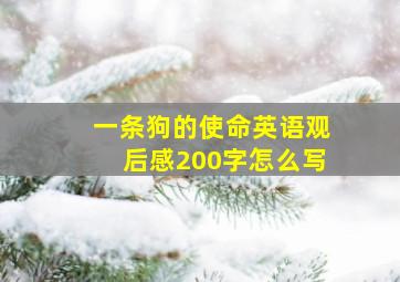 一条狗的使命英语观后感200字怎么写