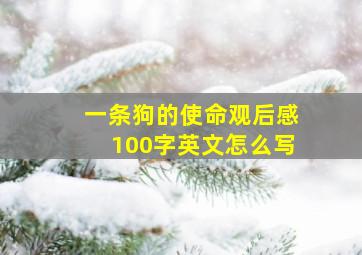 一条狗的使命观后感100字英文怎么写