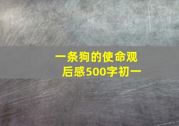 一条狗的使命观后感500字初一