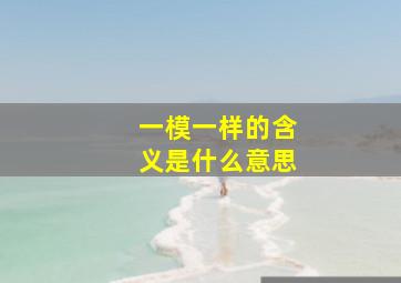 一模一样的含义是什么意思