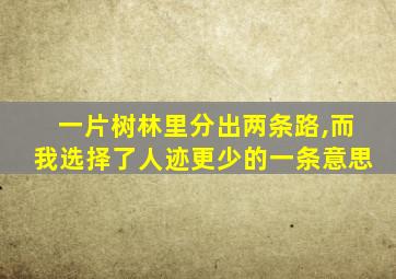 一片树林里分出两条路,而我选择了人迹更少的一条意思