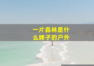 一片森林是什么牌子的户外