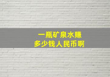 一瓶矿泉水赚多少钱人民币啊