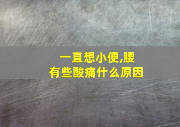 一直想小便,腰有些酸痛什么原因