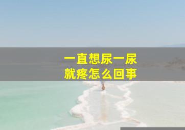 一直想尿一尿就疼怎么回事