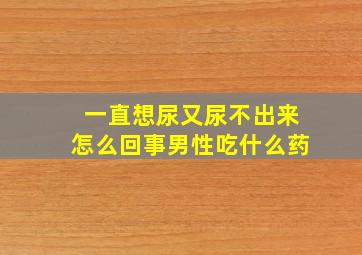 一直想尿又尿不出来怎么回事男性吃什么药