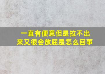 一直有便意但是拉不出来又很会放屁是怎么回事