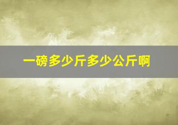 一磅多少斤多少公斤啊