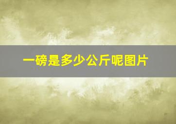 一磅是多少公斤呢图片