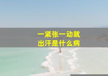 一紧张一动就出汗是什么病