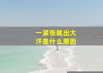 一紧张就出大汗是什么原因