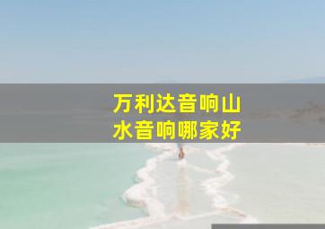 万利达音响山水音响哪家好