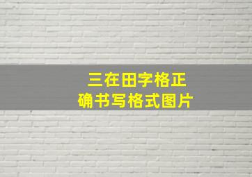 三在田字格正确书写格式图片