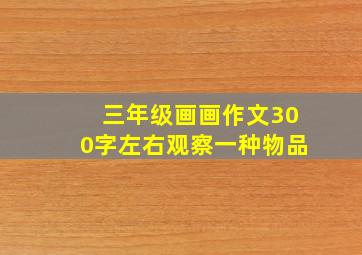 三年级画画作文300字左右观察一种物品