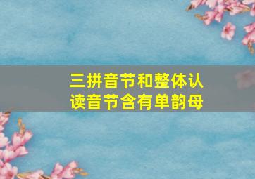 三拼音节和整体认读音节含有单韵母