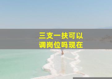 三支一扶可以调岗位吗现在