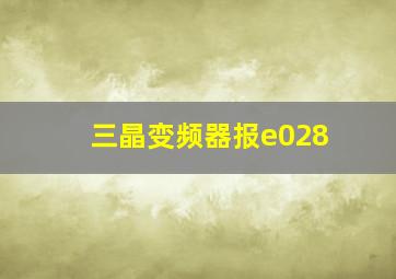 三晶变频器报e028