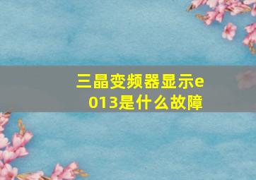 三晶变频器显示e013是什么故障