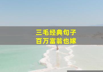 三毛经典句子百万富翁也嫁