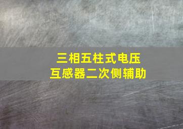 三相五柱式电压互感器二次侧辅助