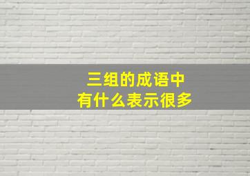 三组的成语中有什么表示很多