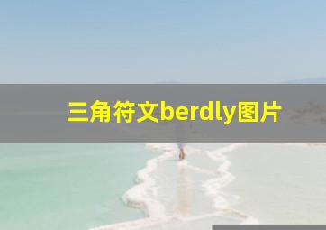 三角符文berdly图片