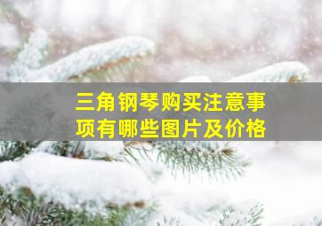 三角钢琴购买注意事项有哪些图片及价格