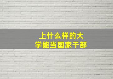 上什么样的大学能当国家干部