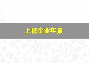 上报企业年报