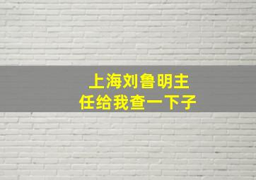 上海刘鲁明主任给我查一下子