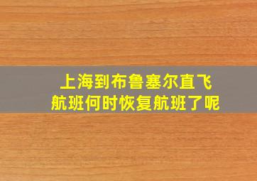 上海到布鲁塞尔直飞航班何时恢复航班了呢