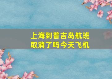 上海到普吉岛航班取消了吗今天飞机