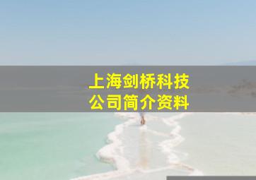 上海剑桥科技公司简介资料