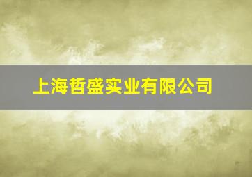 上海哲盛实业有限公司