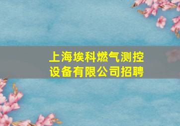 上海埃科燃气测控设备有限公司招聘