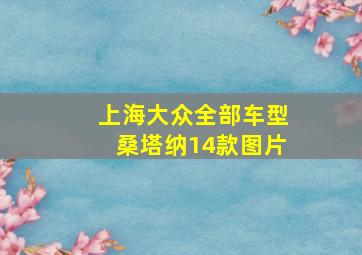 上海大众全部车型桑塔纳14款图片