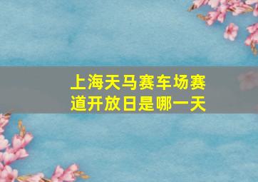 上海天马赛车场赛道开放日是哪一天