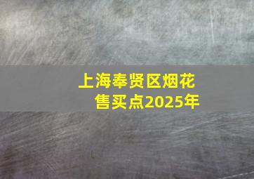 上海奉贤区烟花售买点2025年