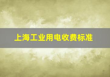 上海工业用电收费标准