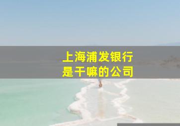 上海浦发银行是干嘛的公司