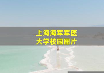 上海海军军医大学校园图片