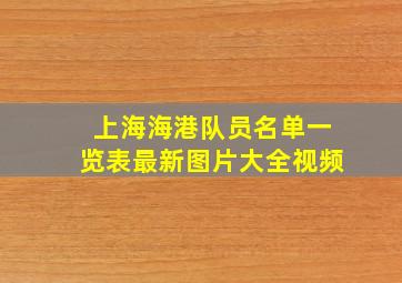 上海海港队员名单一览表最新图片大全视频