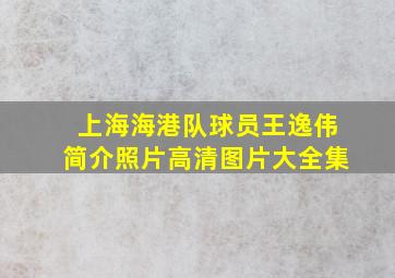 上海海港队球员王逸伟简介照片高清图片大全集