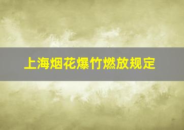 上海烟花爆竹燃放规定