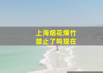 上海烟花爆竹禁止了吗现在