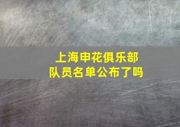 上海申花俱乐部队员名单公布了吗