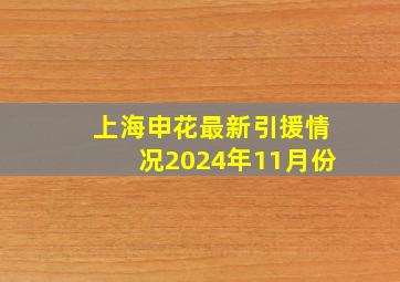 上海申花最新引援情况2024年11月份