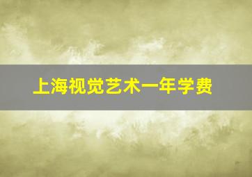 上海视觉艺术一年学费